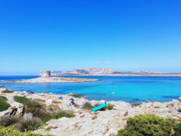 Sardegna