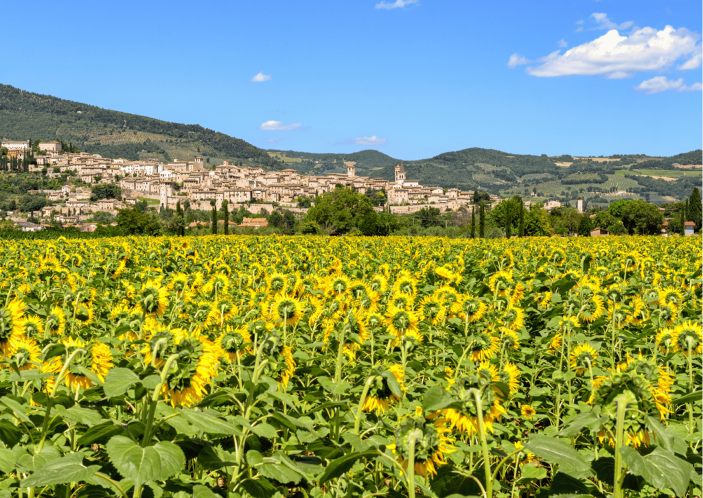 Umbria