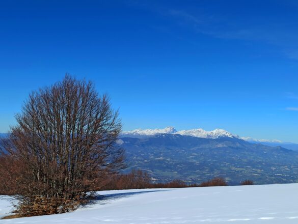 Abruzzo