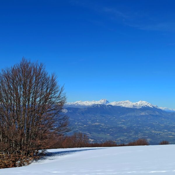 Abruzzo